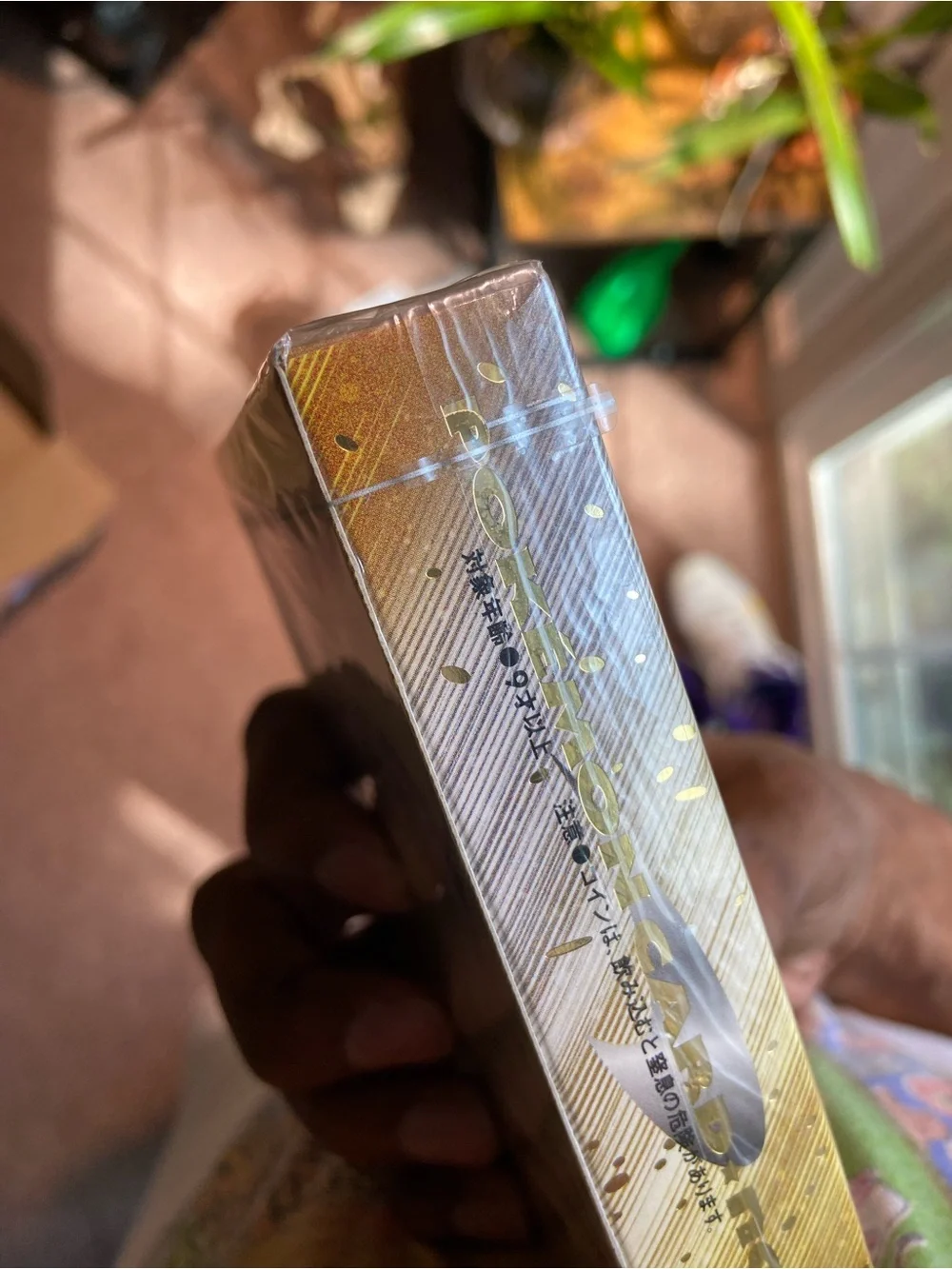 Pokemon official sealed